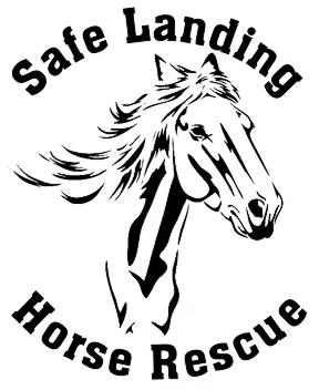 Safe Landing Horse Rescue